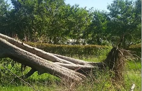 【台風】停電、断水で学んだ絶対に準備しておく事